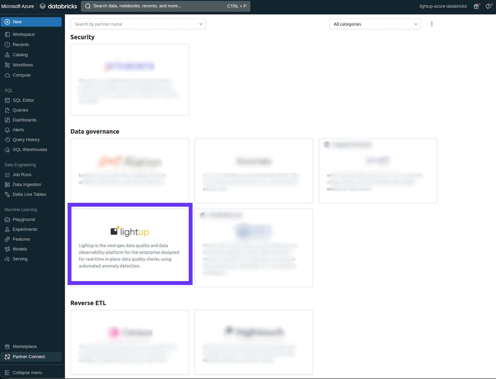 Access Lightup directly from Databricks Partner Connect