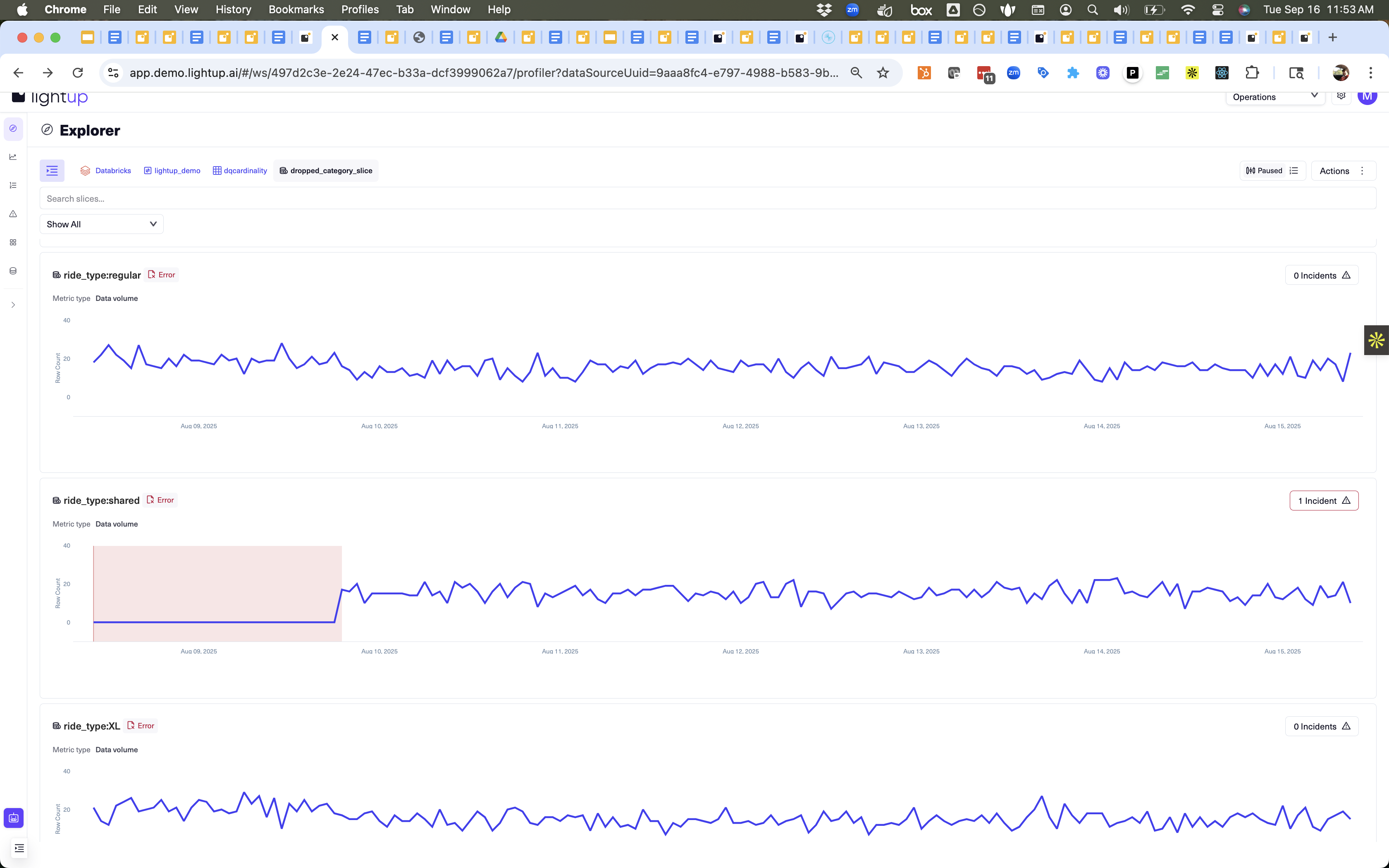 Individual slices time series